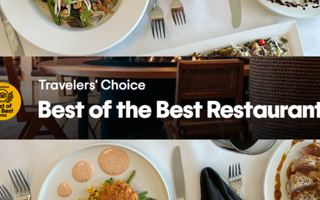 Tripadvisor Best of the Best Hidden Gem Restaurant